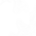 newsletter-pattern (1) (1)